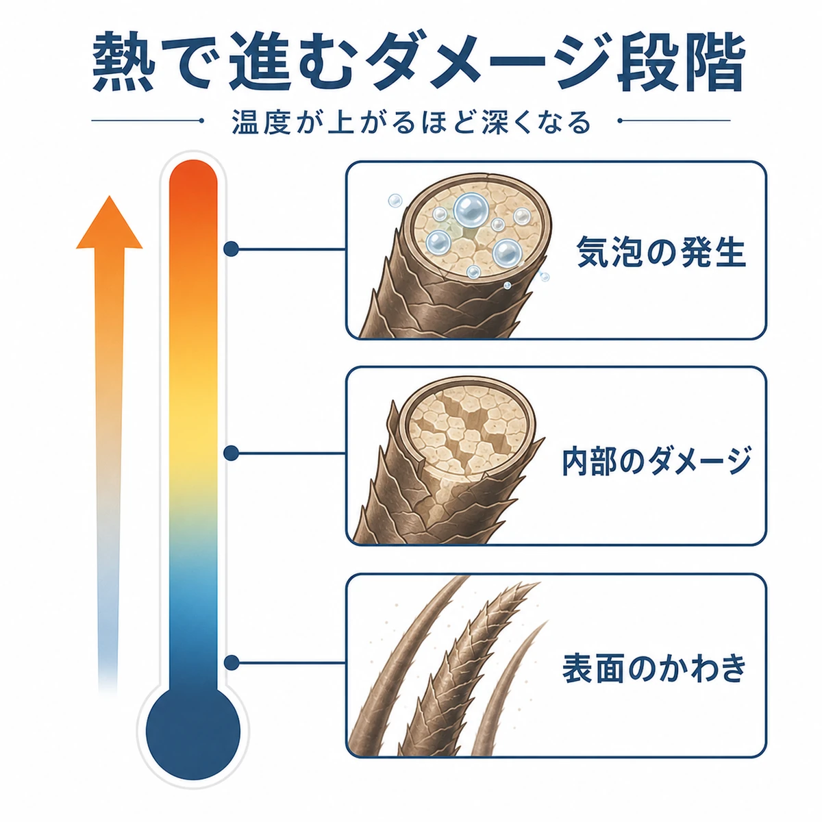 温度の上昇にともない毛髪の熱ダメージが段階的に深まる様子を示した医療イラスト