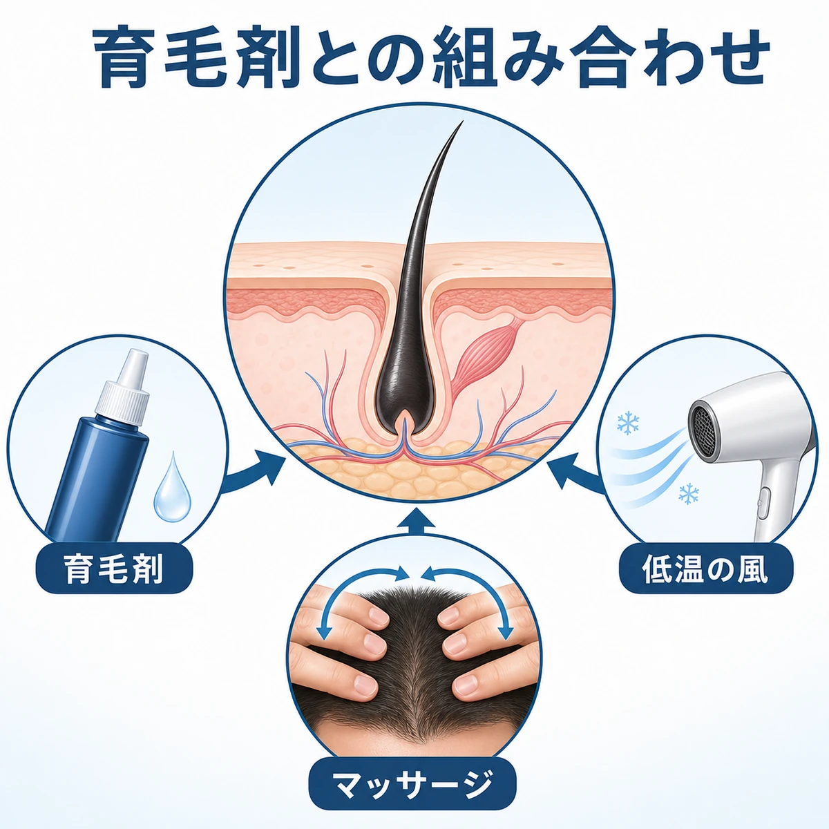 育毛剤の塗布とマッサージと低温の風が頭皮環境を支える関係を示した医療イラスト