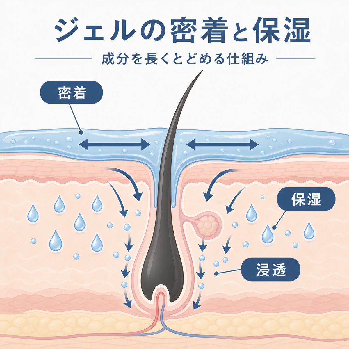 頭皮の断面でジェルの膜による密着と成分浸透を描いた医療イラスト