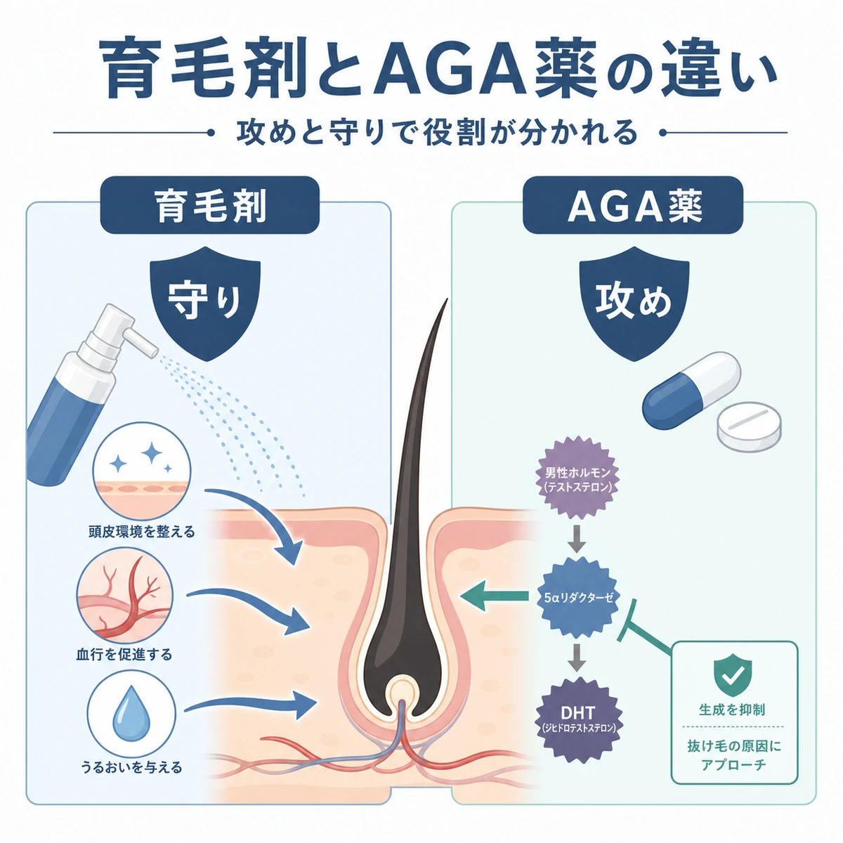 外用の育毛剤と内服のAGA薬の作用の違いを左右で対比した医療イラスト