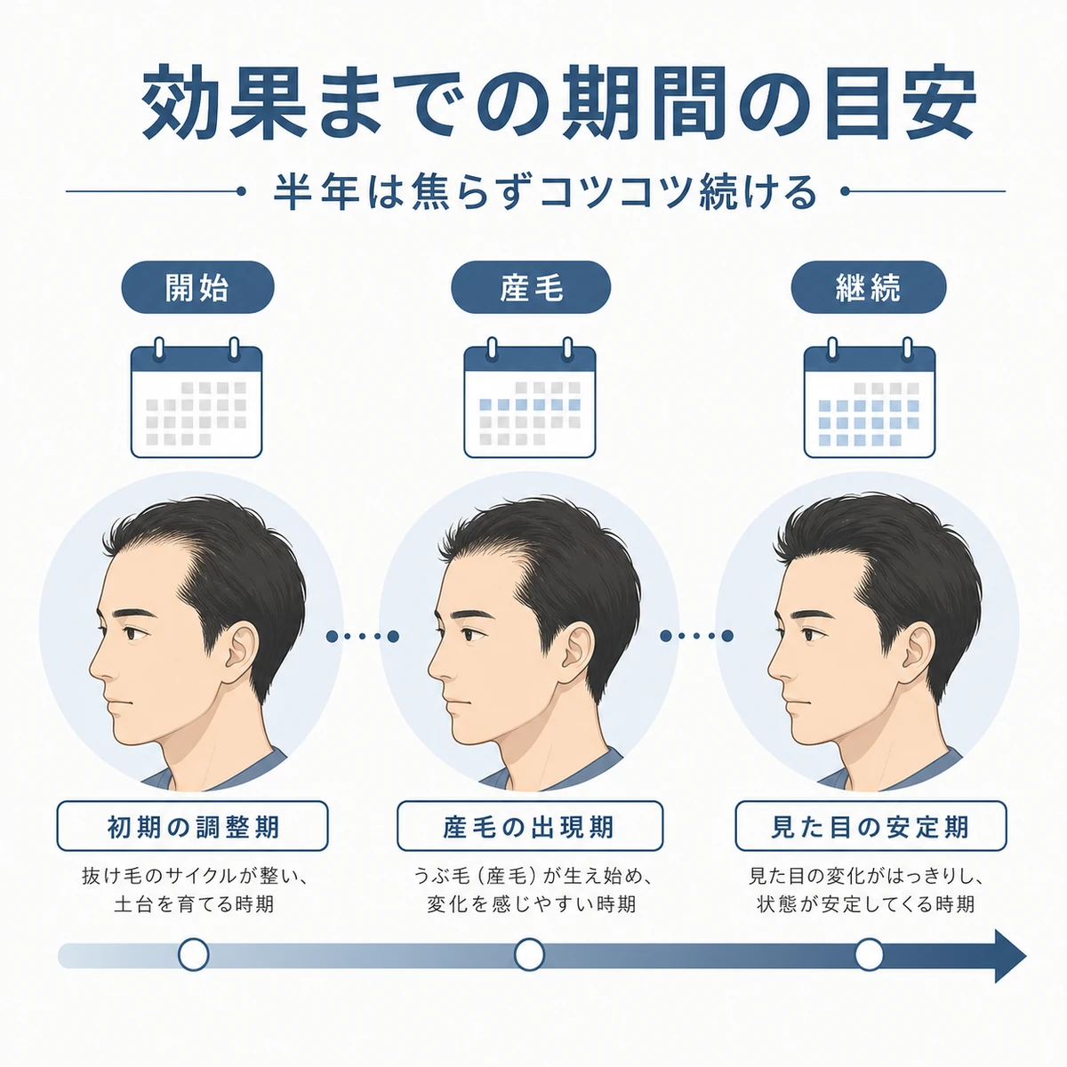併用治療の効果が初期脱毛から6か月・12か月へと積み重なる経過を表した医療イラスト
