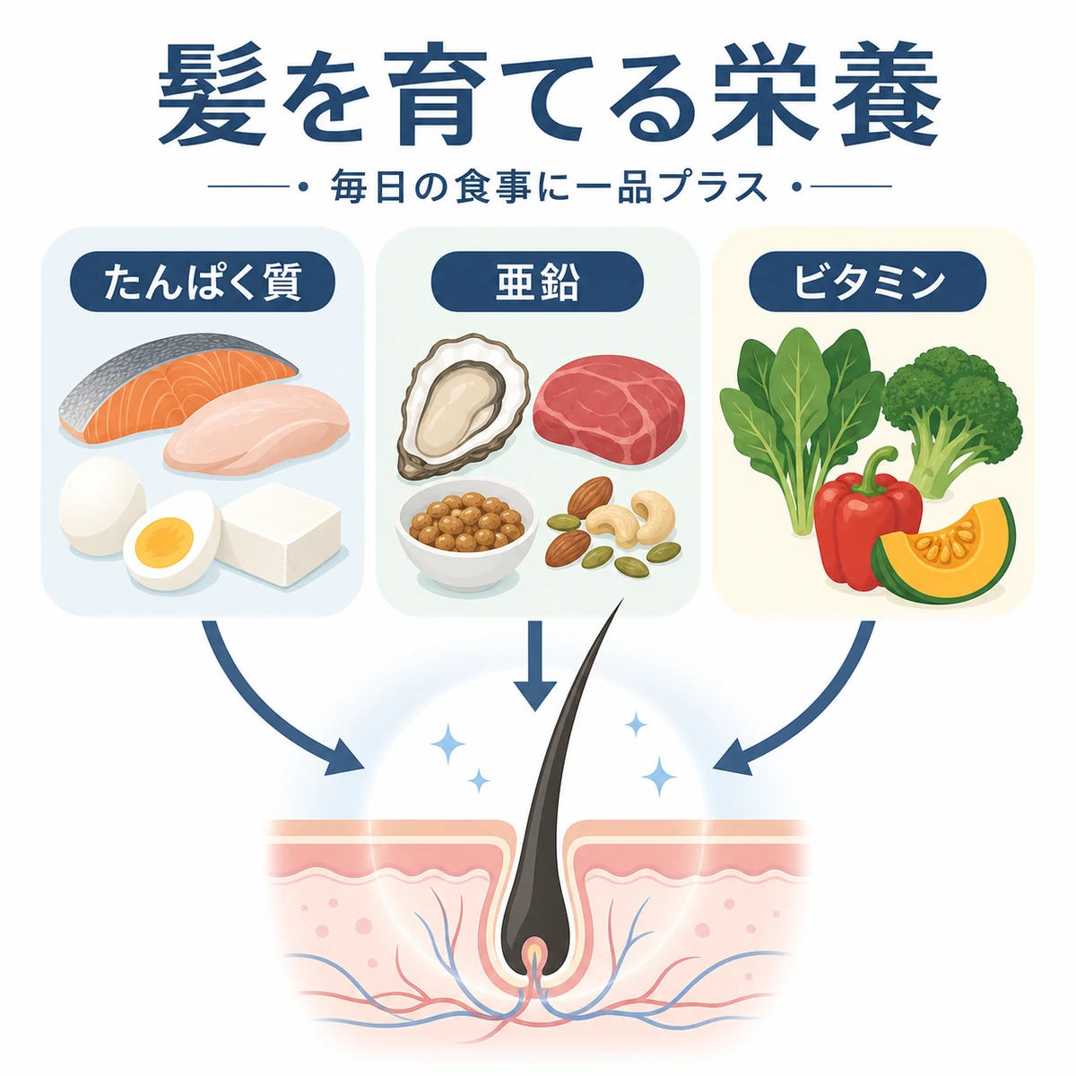 髪に必要な栄養素と食材を分類して表した医療イラスト