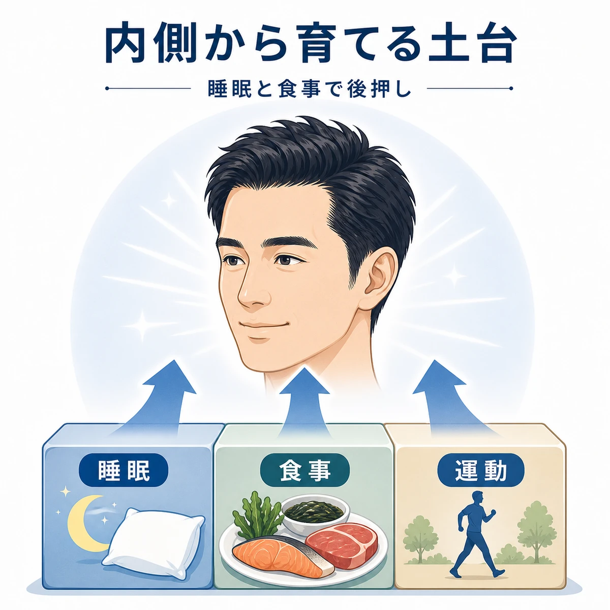 睡眠や食事など生活習慣が内側から育毛を支える土台になるようすを表した医療イラスト