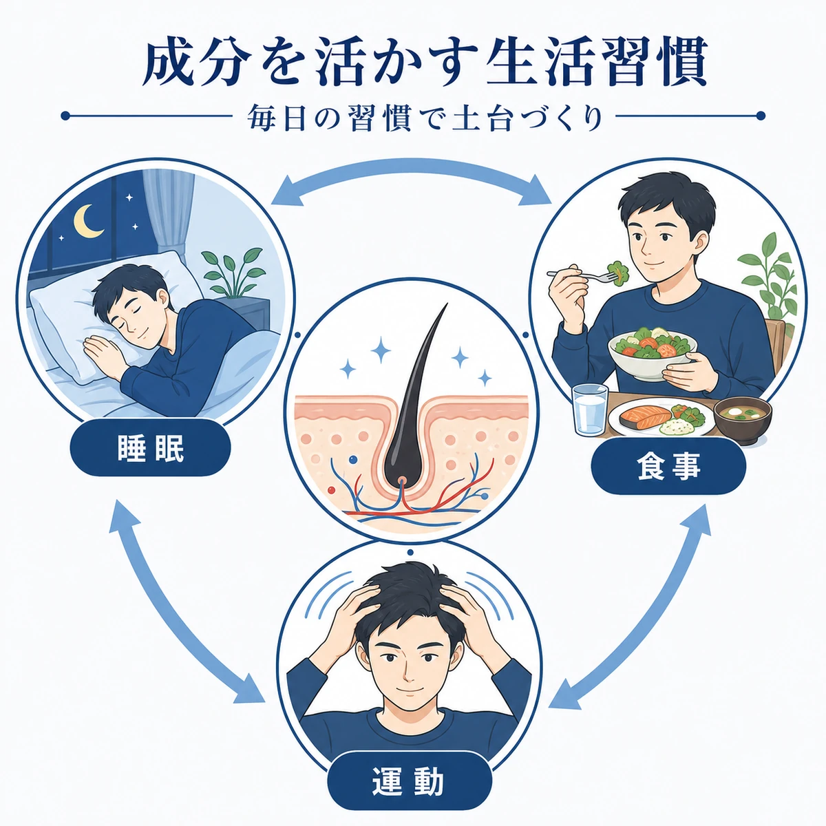 睡眠と食事と運動の生活習慣が毛髪の回復を支える様子を表した医療イラスト