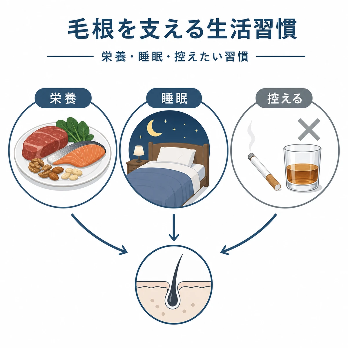 栄養と睡眠と控えたい習慣が毛根を支える生活習慣を分類した医療イラスト