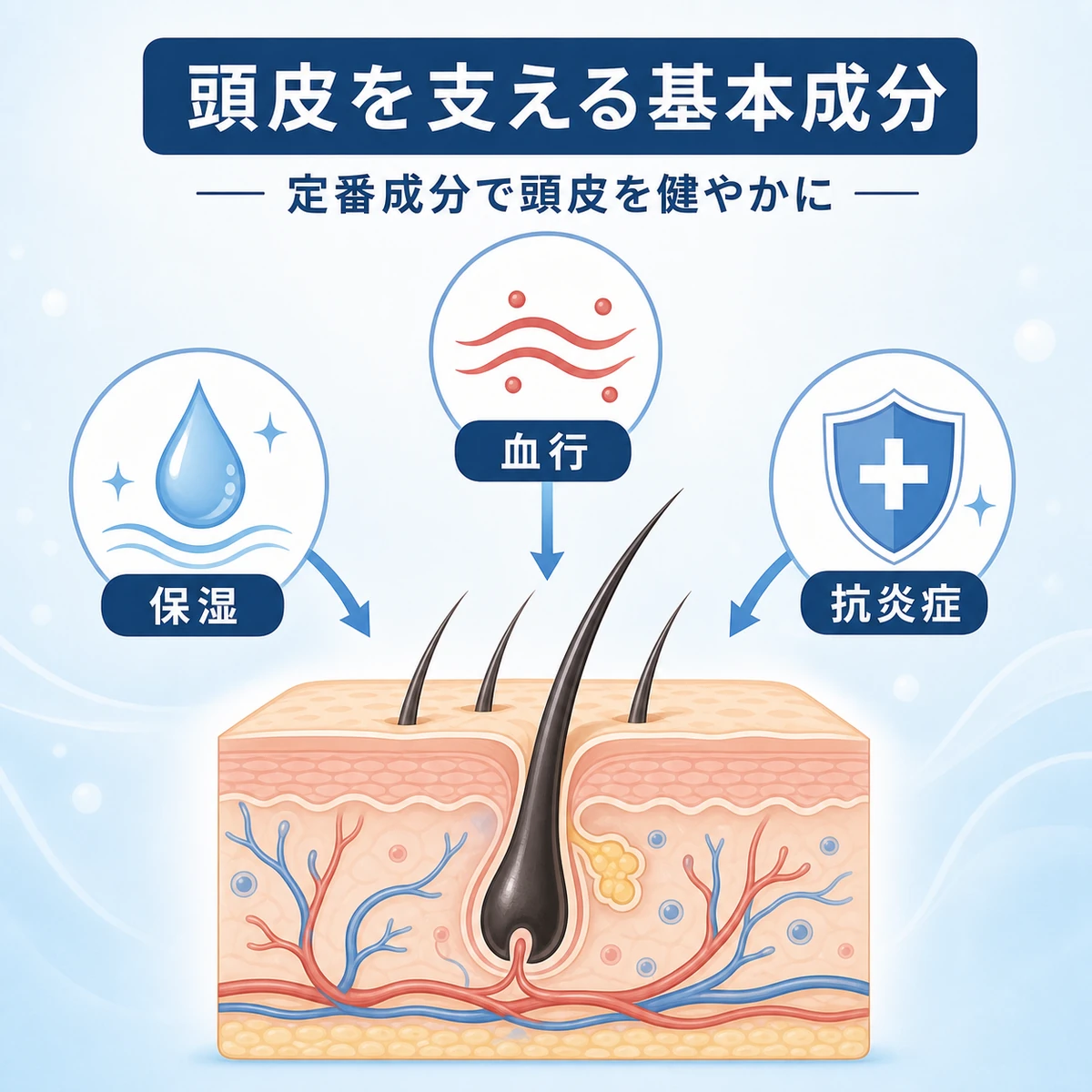 頭皮環境を支える基本の育毛成分の関係を描いた相関図イラスト
