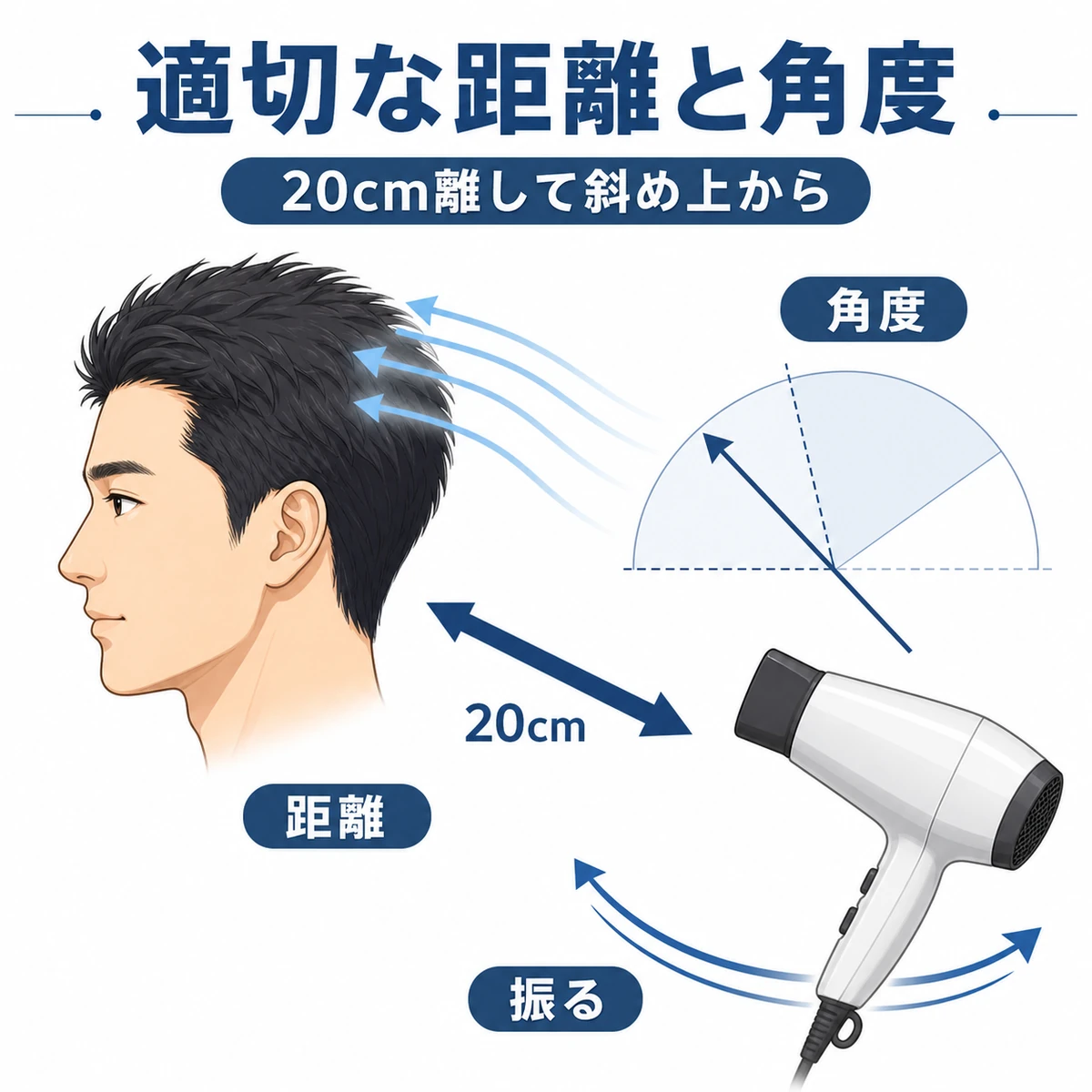 ドライヤーと頭皮の距離を20cm保ち斜め上から風を当てる角度を表した男性向けイラスト