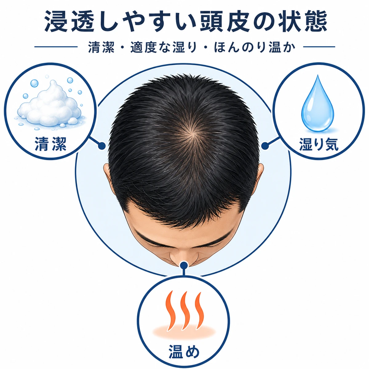 育毛剤が浸透しやすい清潔で湿り温かい頭皮の状態を3つの条件で表した解説イラスト