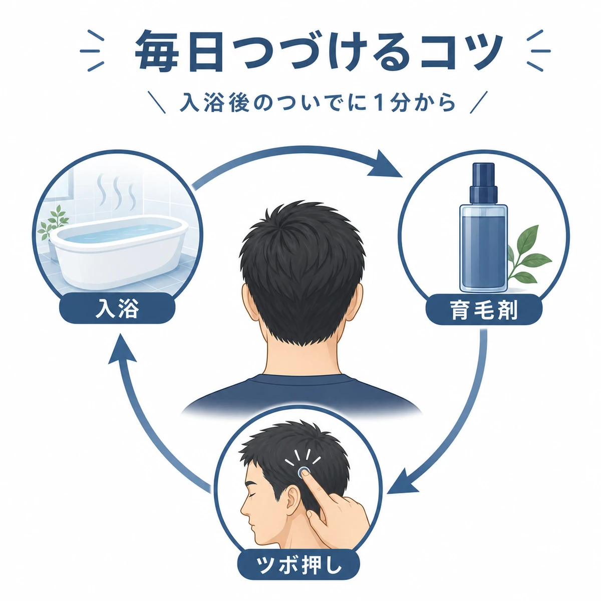 入浴後に育毛剤とツボ押しを毎日の習慣にする流れを円環で表した解説イラスト