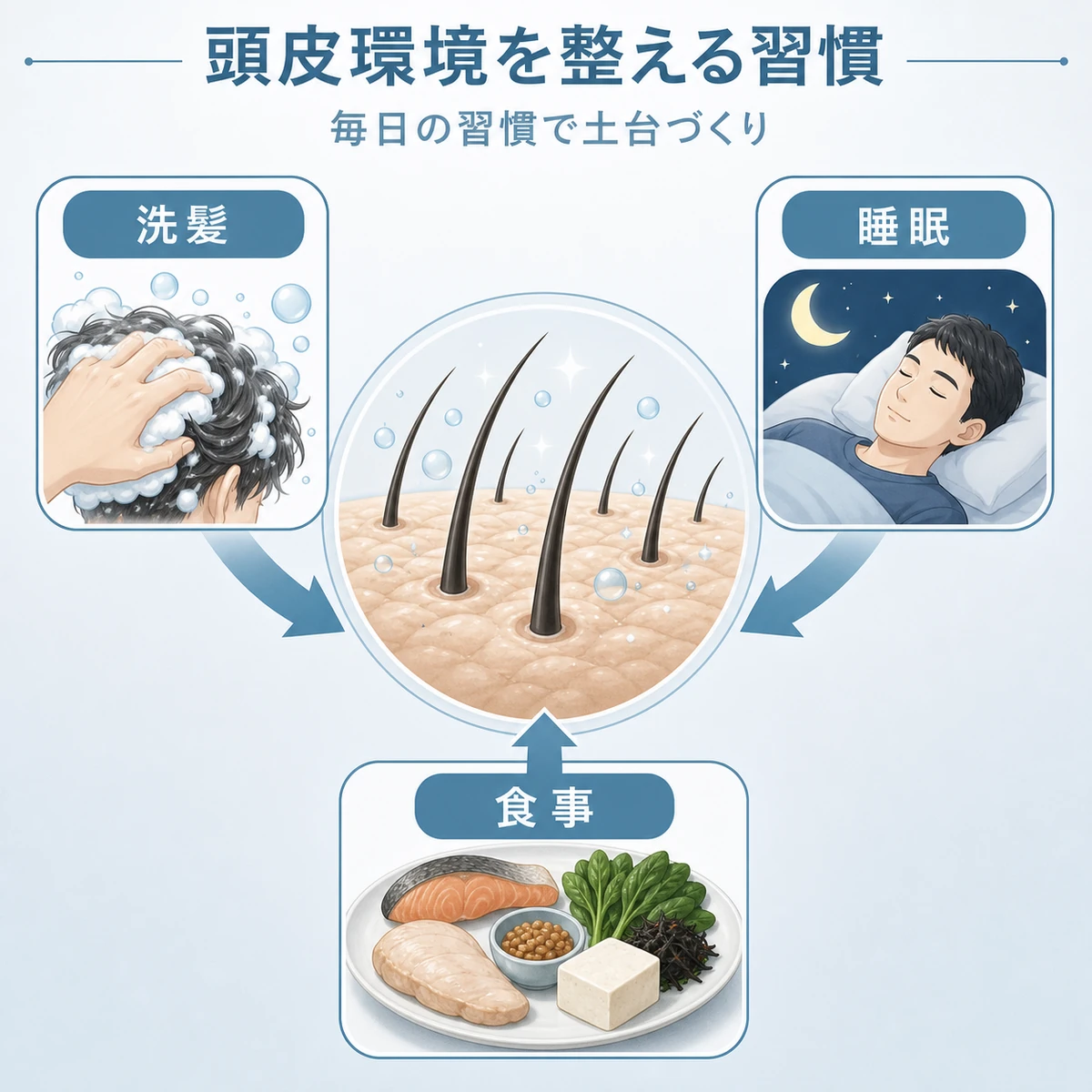 洗髪と睡眠と食事で頭皮環境を整える習慣を表した医療イラスト