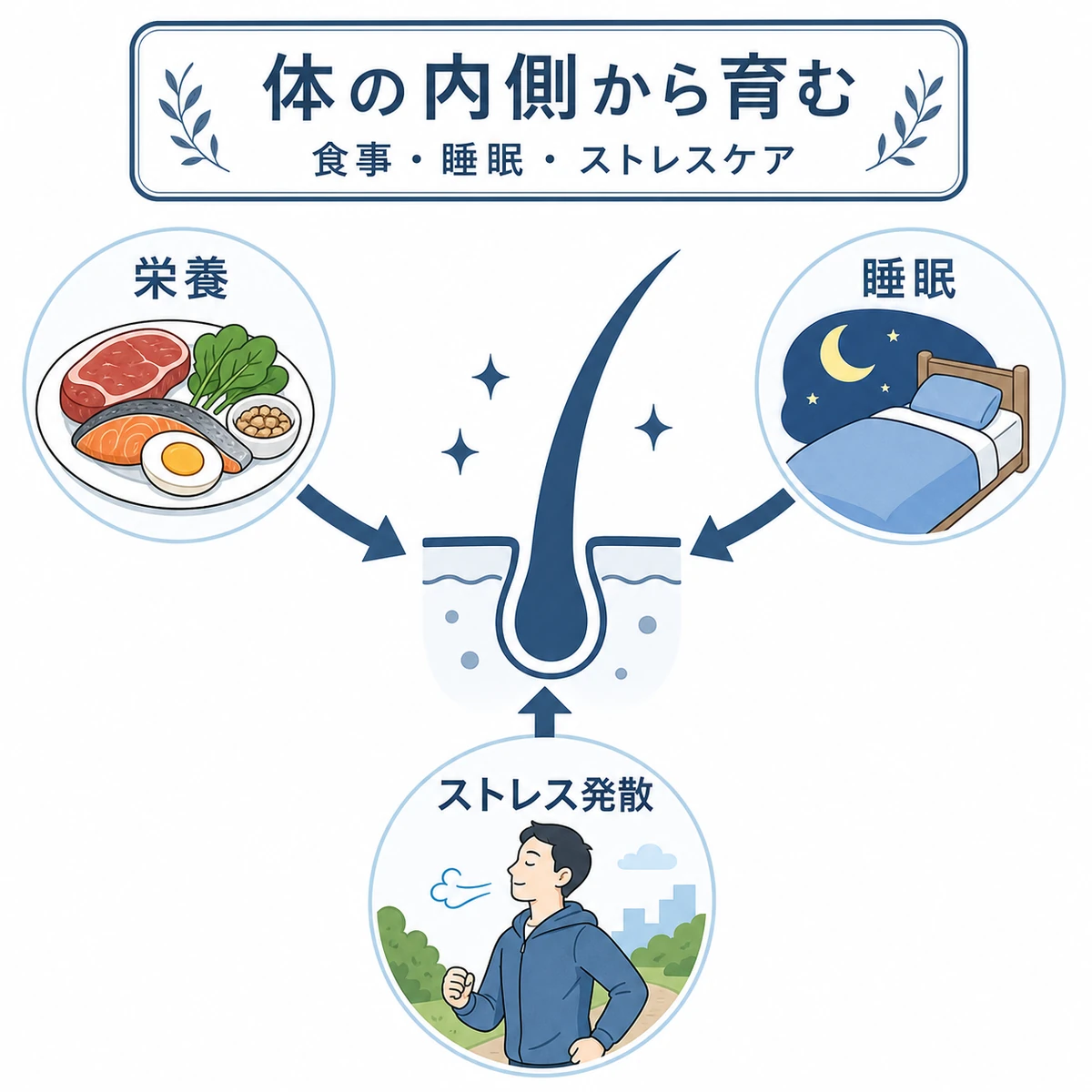 食事と睡眠とストレスケアが体の内側から健やかな髪を育む相関を表した医療イラスト