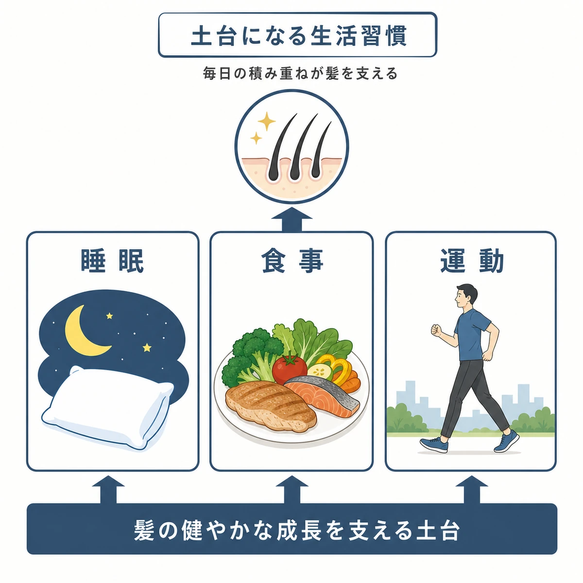 睡眠と食事と運動という育毛を支える生活習慣の三本柱を表した医療イラスト