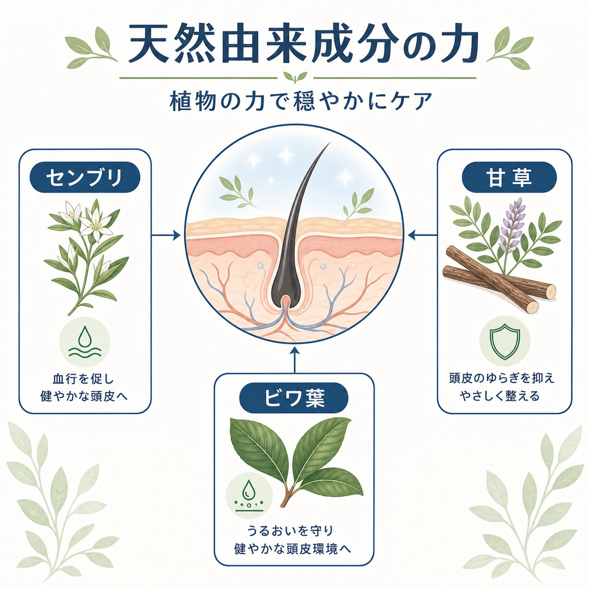 天然由来成分が敏感な頭皮を穏やかに整える働きを表した医療イラスト