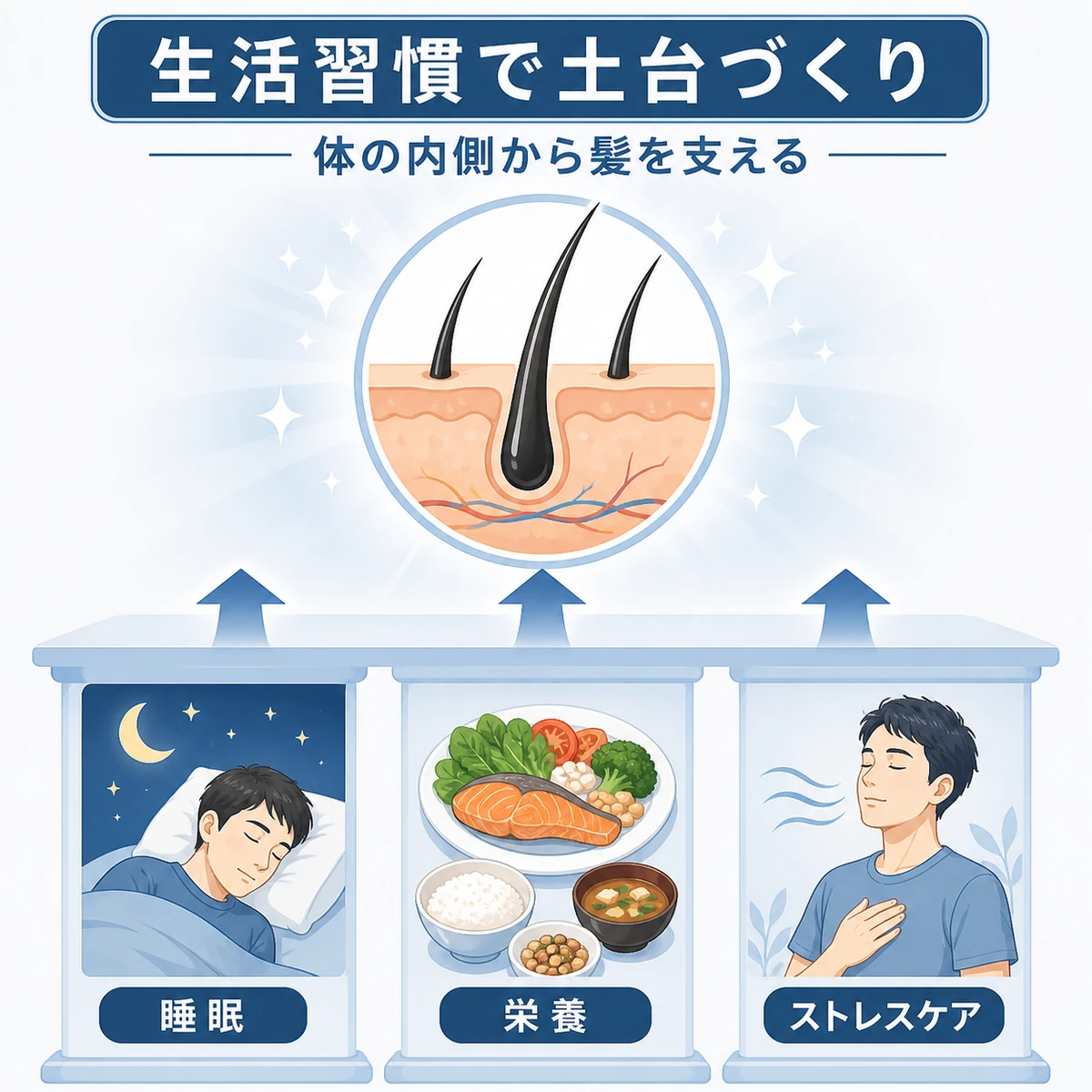 睡眠や栄養など生活習慣が育毛を支える関係を表した医療イラスト