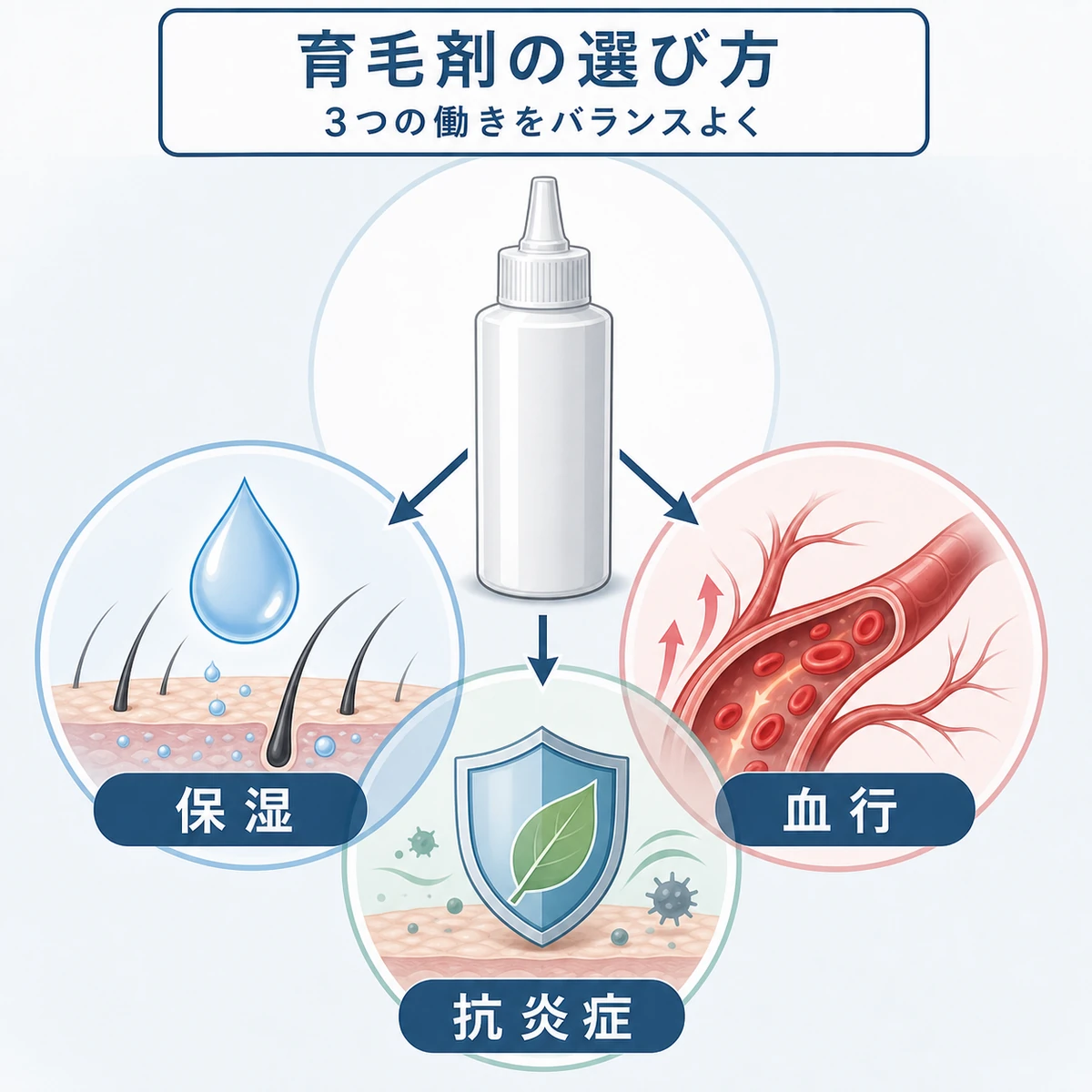 中立的な育毛剤ボトルから保湿と血行と抗炎症の三つの働きが相乗効果を生む選び方を表した医療イラスト