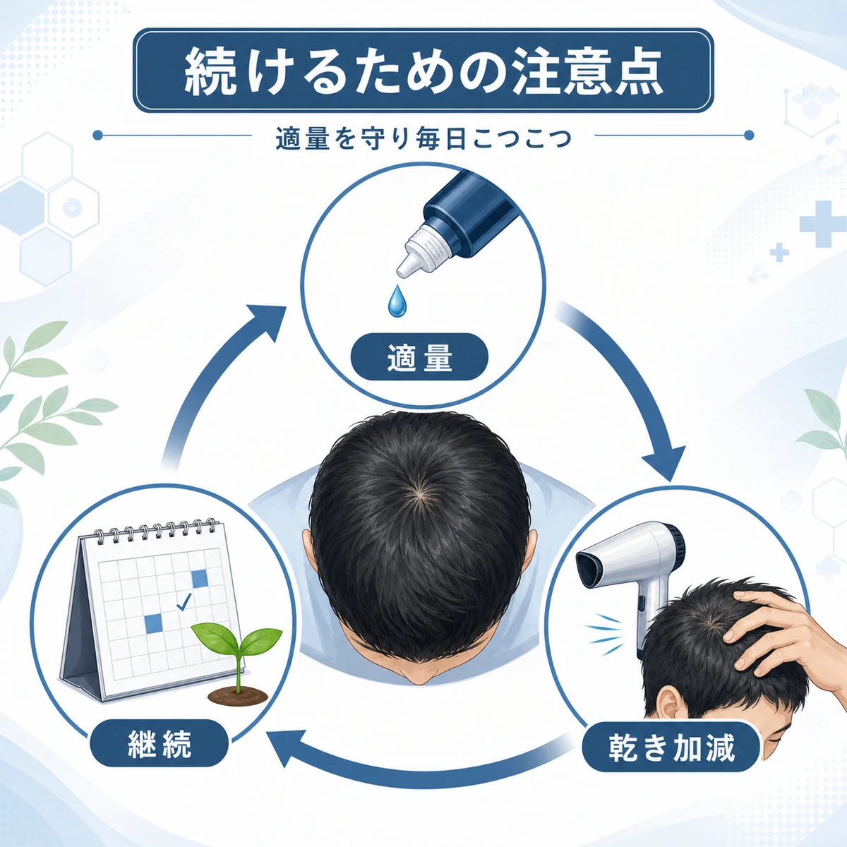 適量と乾き加減の確認と継続が循環する育毛習慣のサイクルを表した男性向け医療イラスト