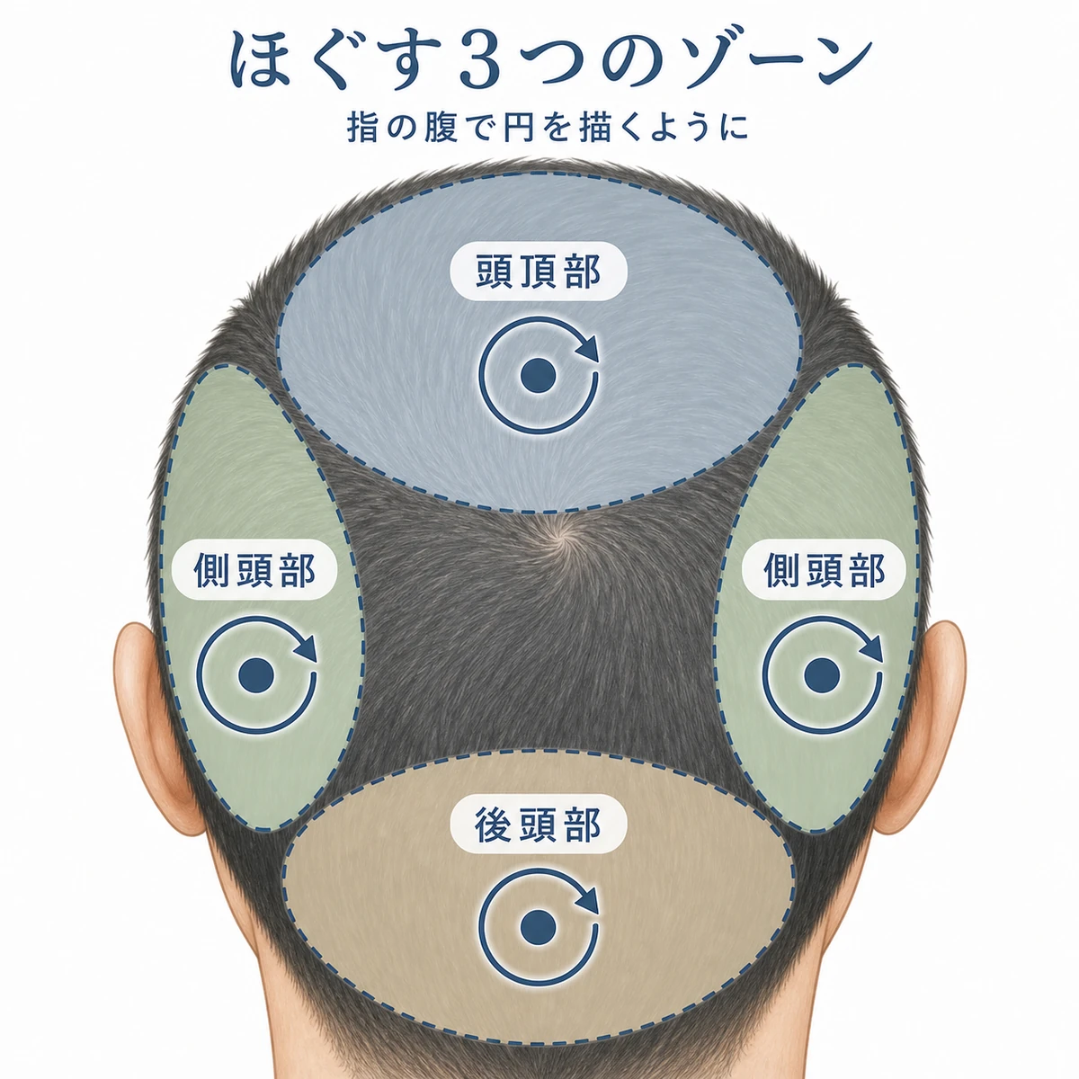 頭頂部と側頭部と後頭部の3つのゾーンを指の腹で円を描いてほぐす手順を上から表した頭皮マッサージのイラスト