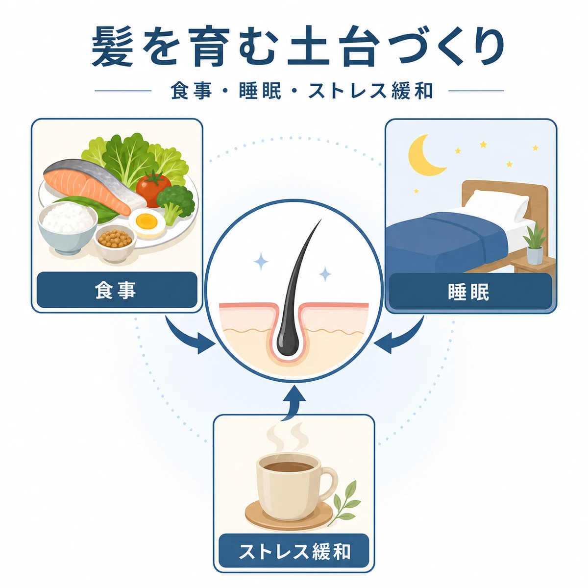 食事と睡眠とストレス緩和が髪を育む土台になることを表した育毛イラスト