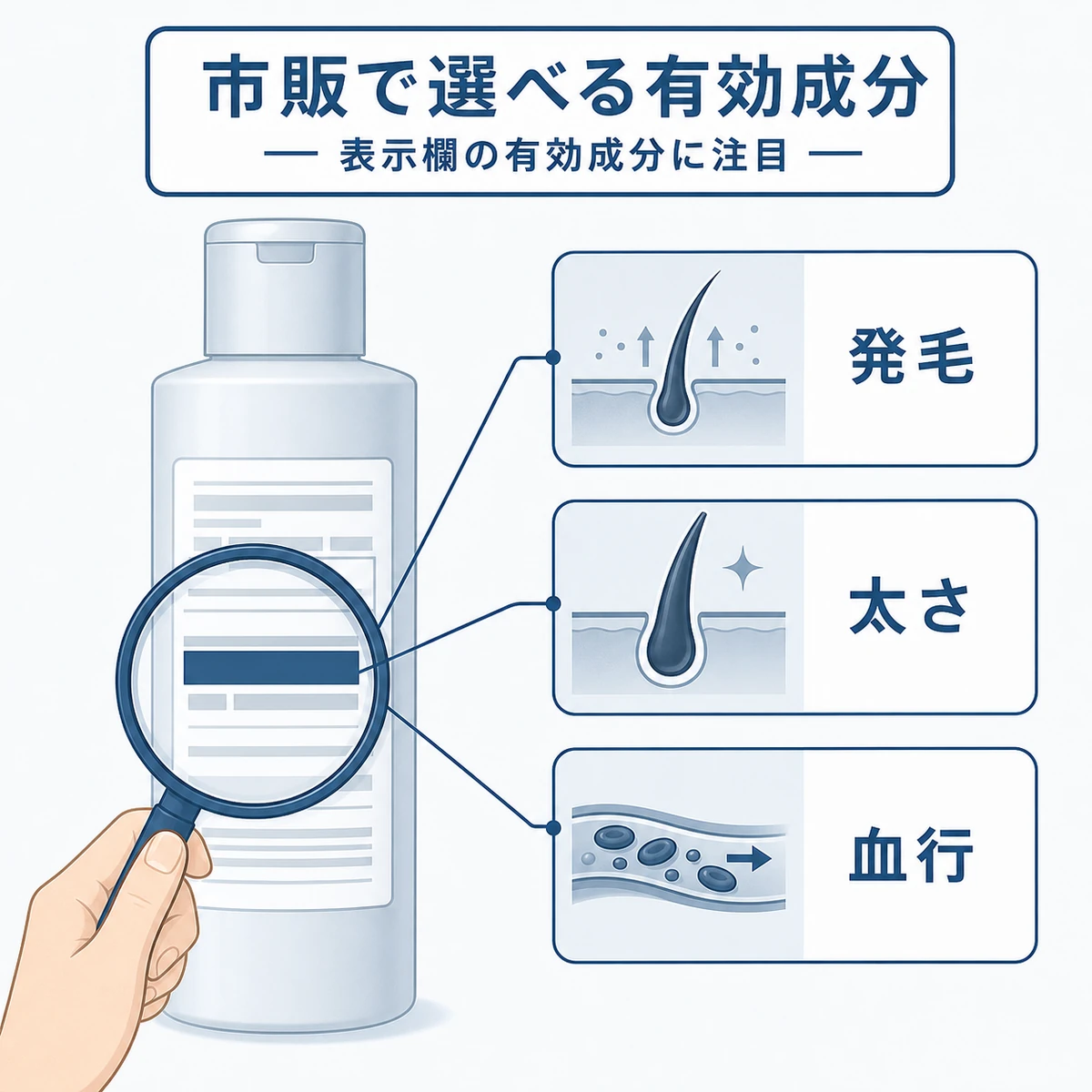 市販育毛剤の有効成分の働きを毛包や毛根の成分カードで表した医療イラスト