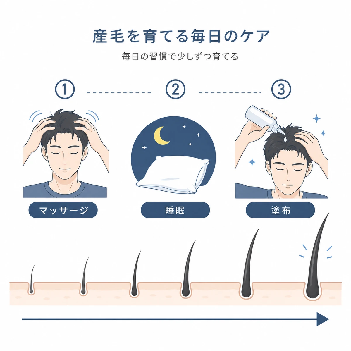 産毛を太い髪へ育てる毎日のセルフケア手順を左から右への流れで表した医療イラスト