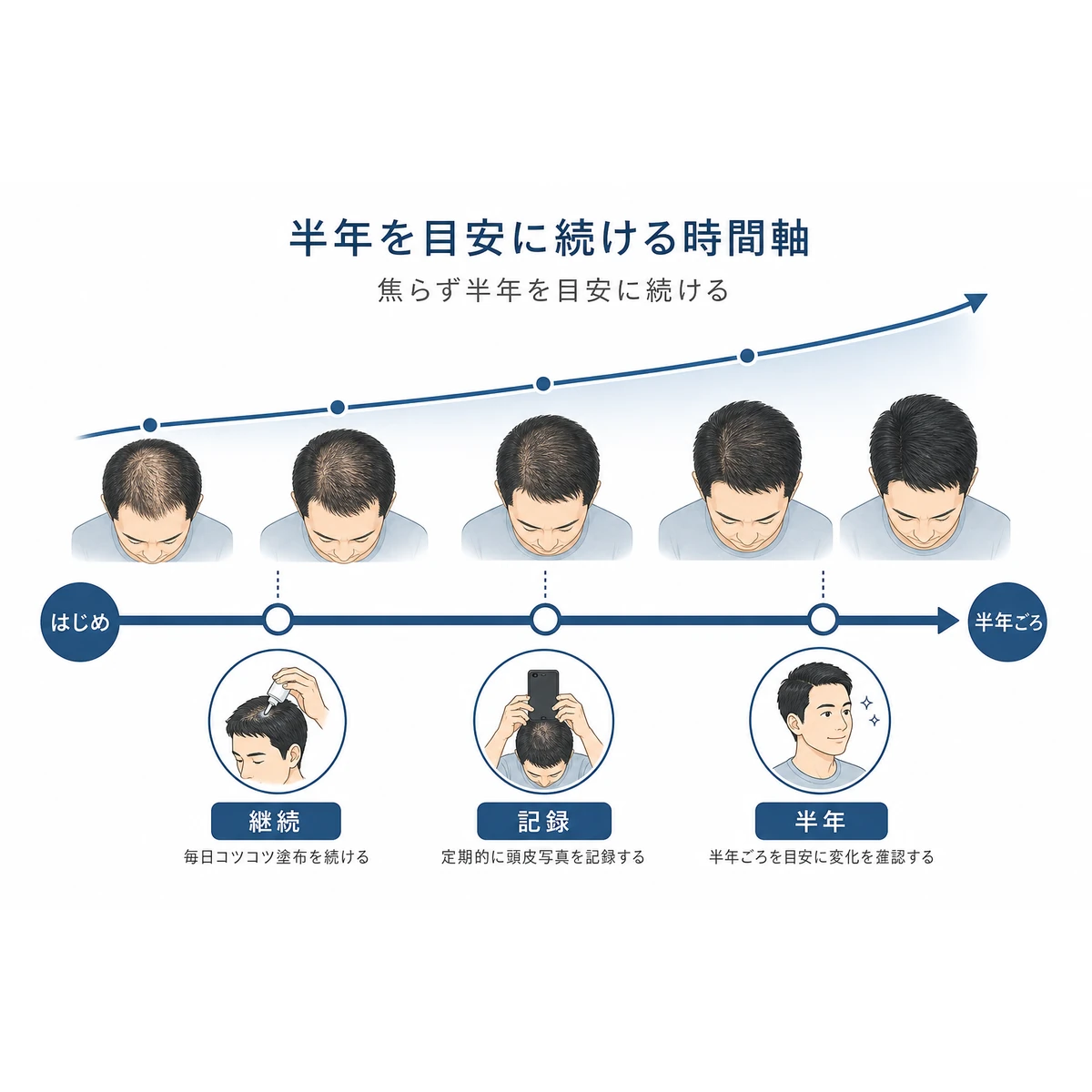 育毛剤を半年を目安に続けると変化が右上がりに現れる時間軸を表した医療イラスト