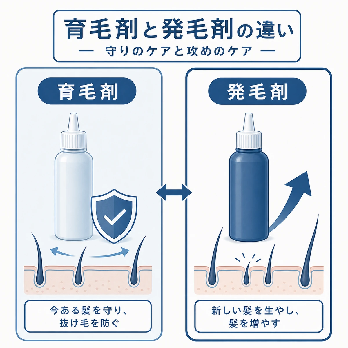 育毛剤と発毛剤の目的と成分の違いを対比した医療イラスト