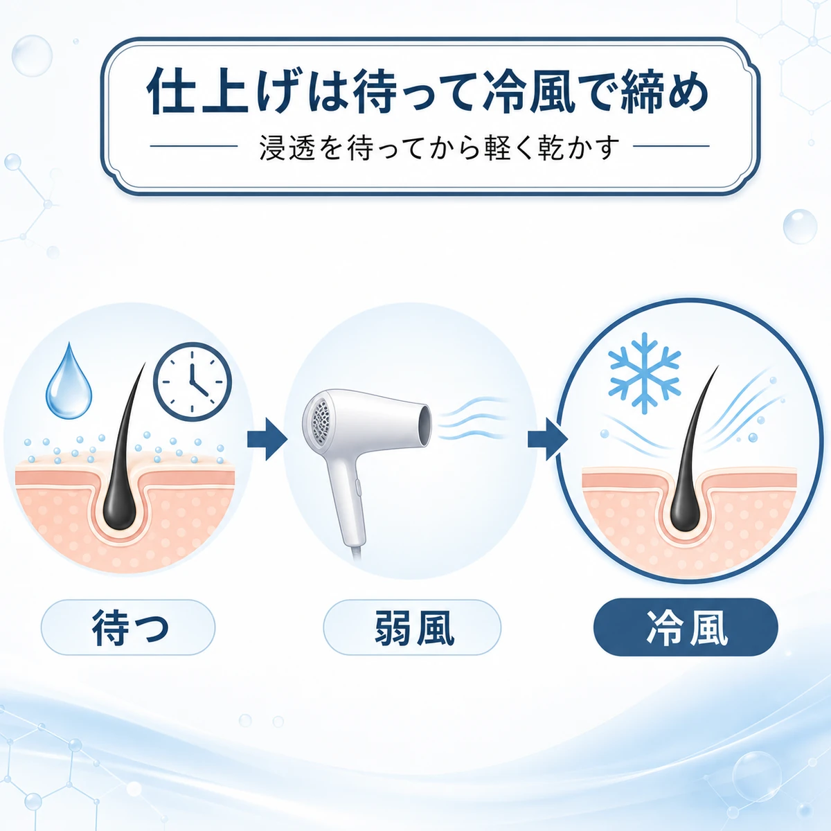 浸透を待ってから弱風で乾かし冷風で仕上げる育毛剤の乾かし方の流れを表した医療イラスト