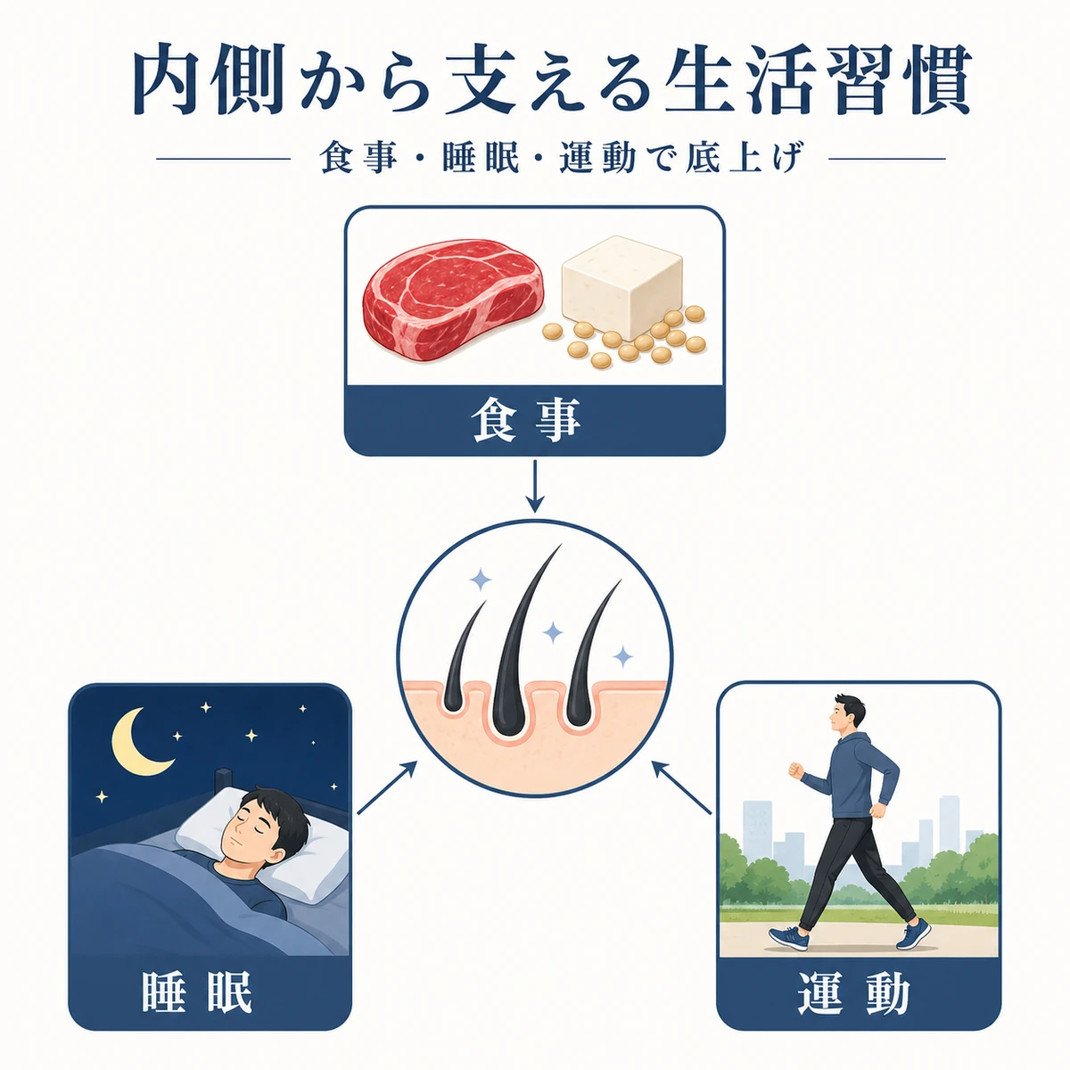 食事と睡眠と運動が健やかな頭皮を支えるつながりを表した男性向け育毛の生活習慣の医療イラスト