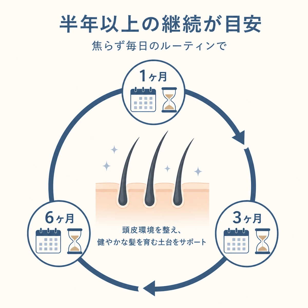 1ヶ月から6ヶ月までの継続の節目を円環で表した男性向け育毛マッサージの医療イラスト