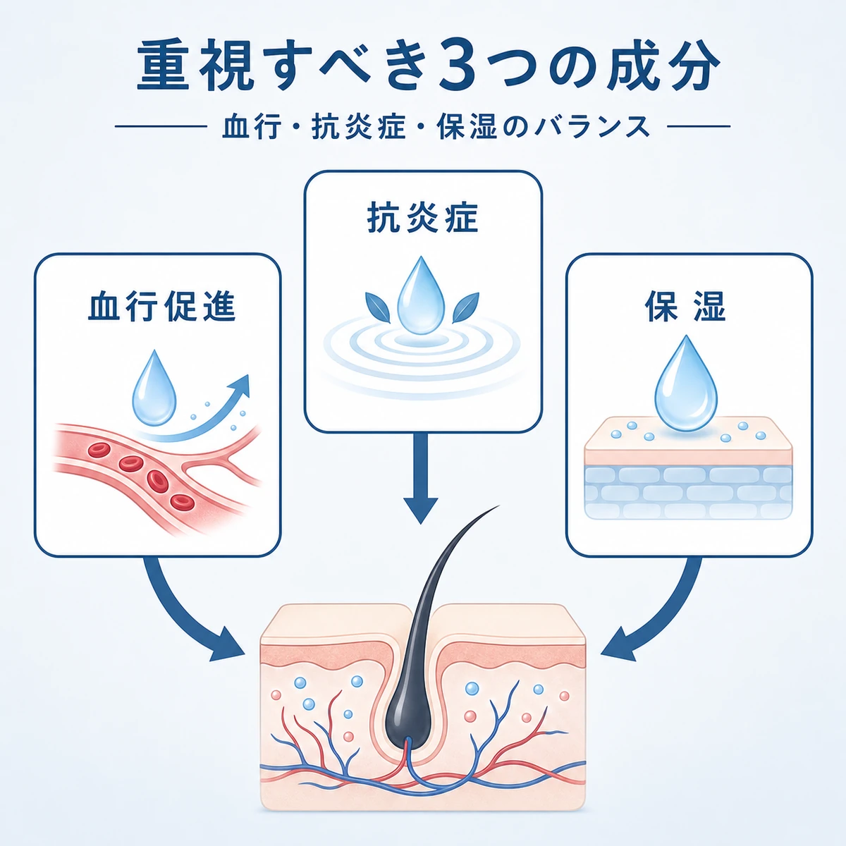 育毛剤選びで重視したい血行促進・抗炎症・保湿の3成分が頭皮を整える関係を表した医療イラスト