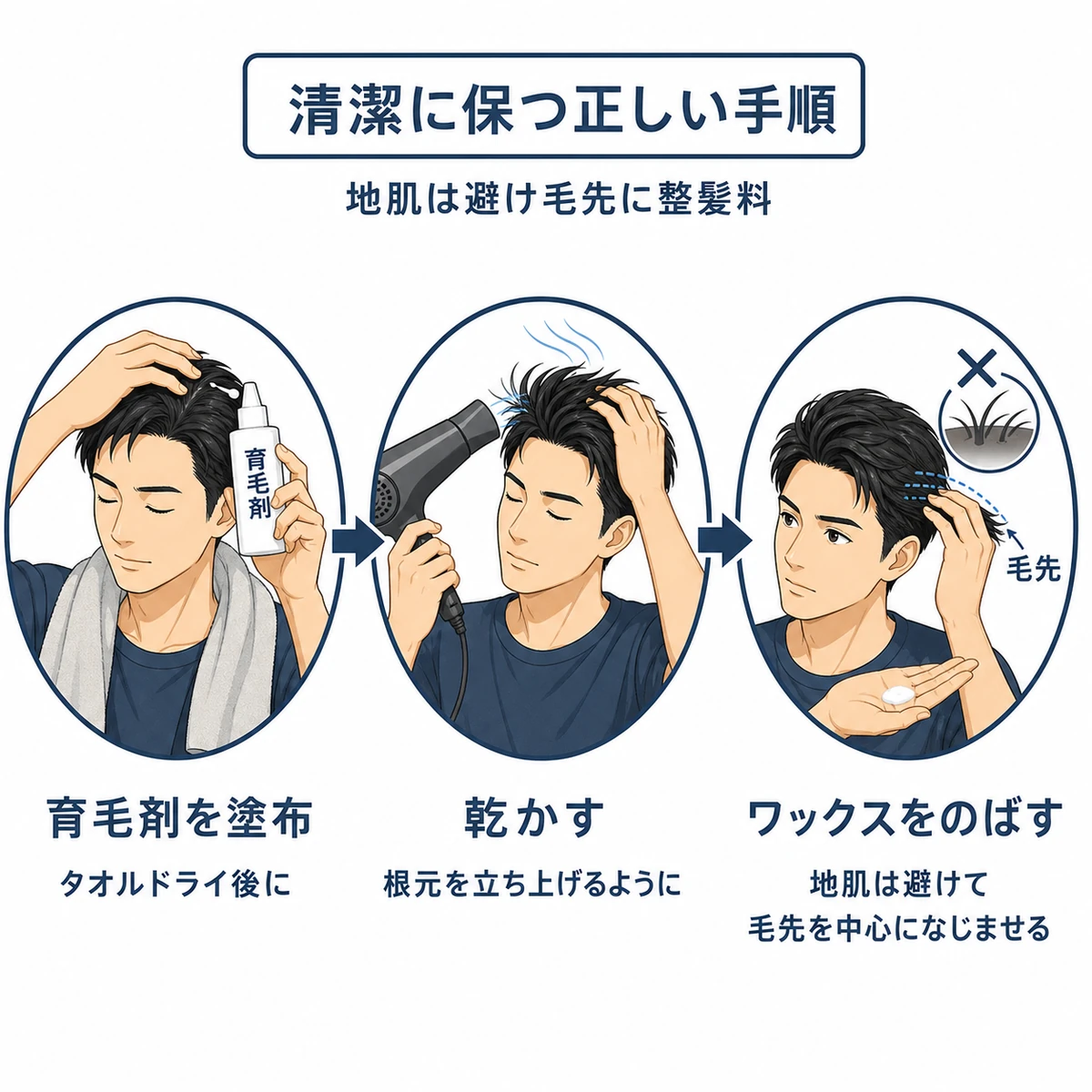 洗髪後に育毛剤を馴染ませ乾かしてから毛先に整髪料を付ける手順を表した医療イラスト