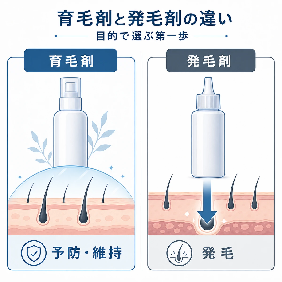 育毛剤と発毛剤の役割の違いを左右で対比した医療イラスト