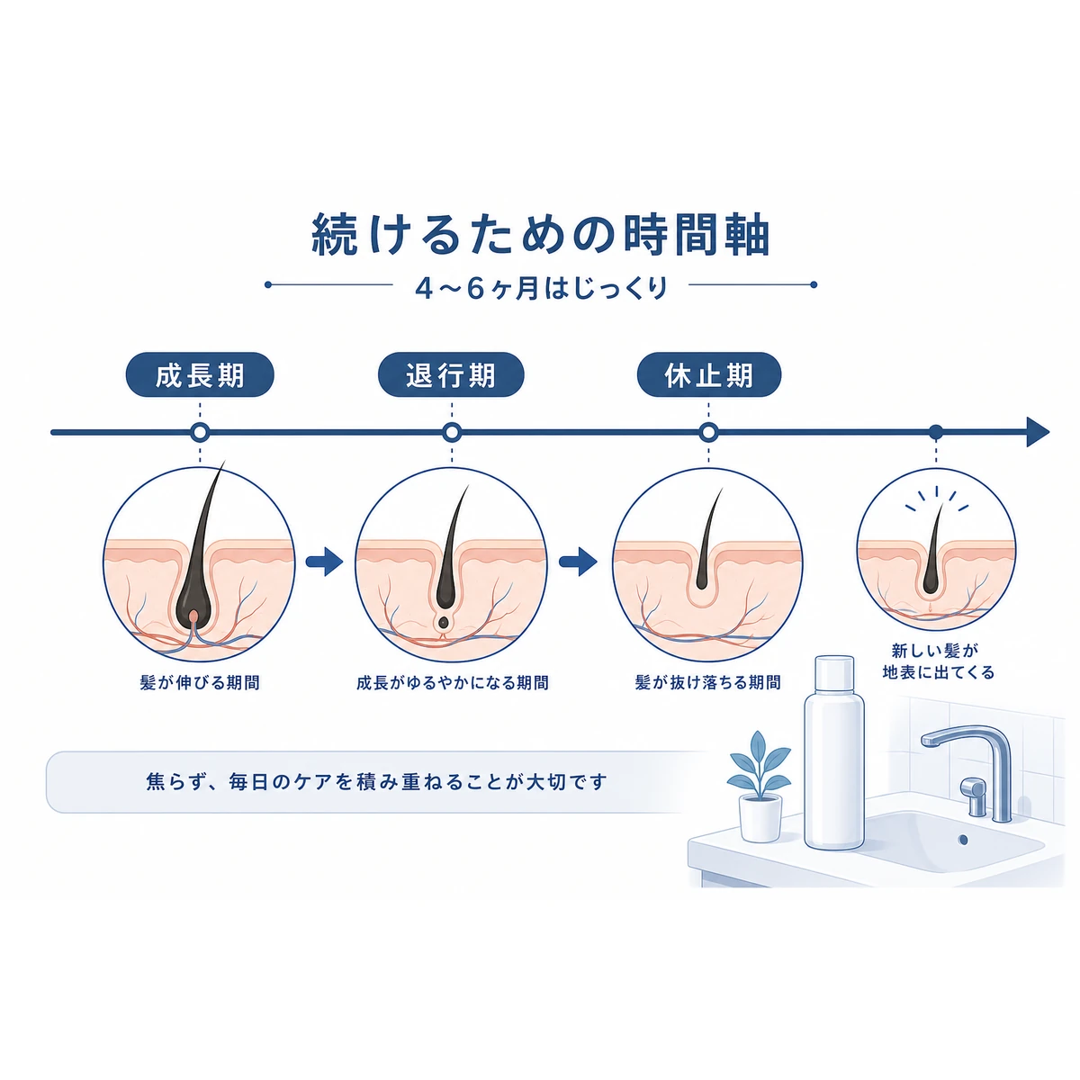 毛周期と継続使用の時間の流れを横軸で表した医療イラスト