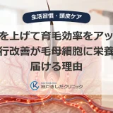 代謝を上げて育毛効率をアップ！血行改善が毛母細胞に栄養を届ける理由