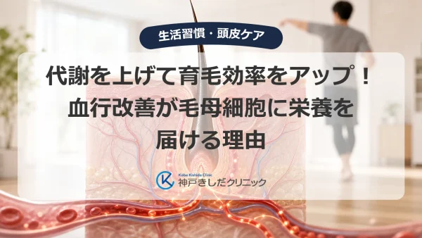 代謝を上げて育毛効率をアップ！血行改善が毛母細胞に栄養を届ける理由