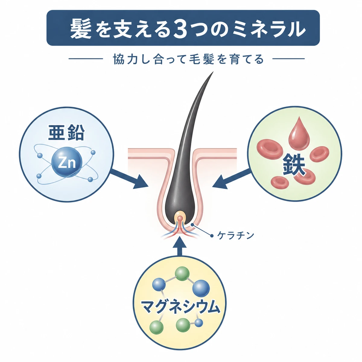 マグネシウム 効果 髪