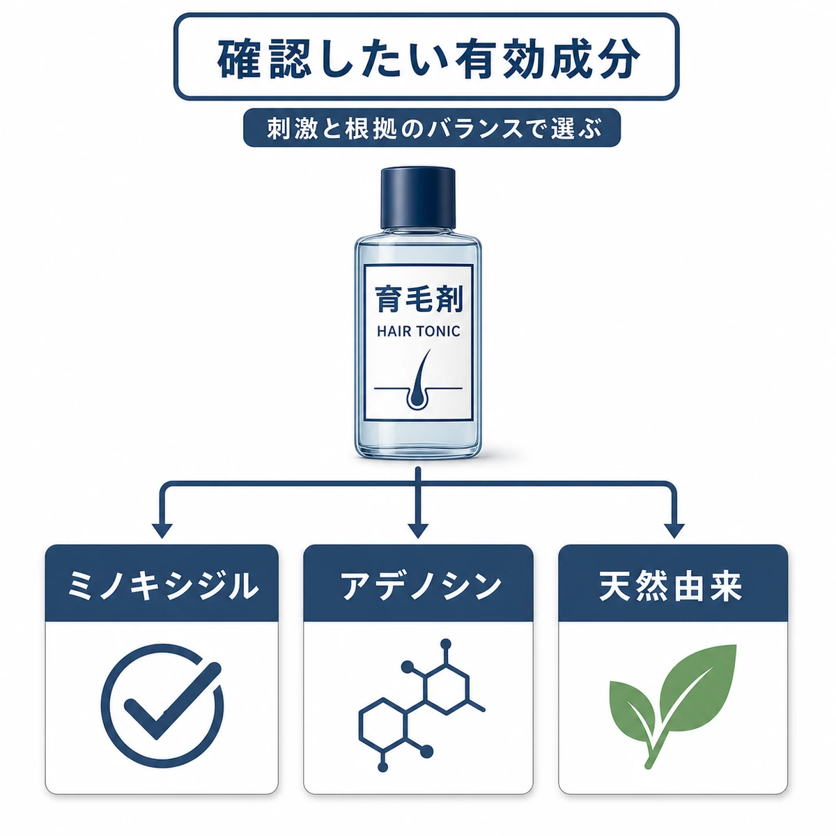 育毛剤の主な有効成分ミノキシジル・アデノシン・天然由来を並べて比較した医療イラスト