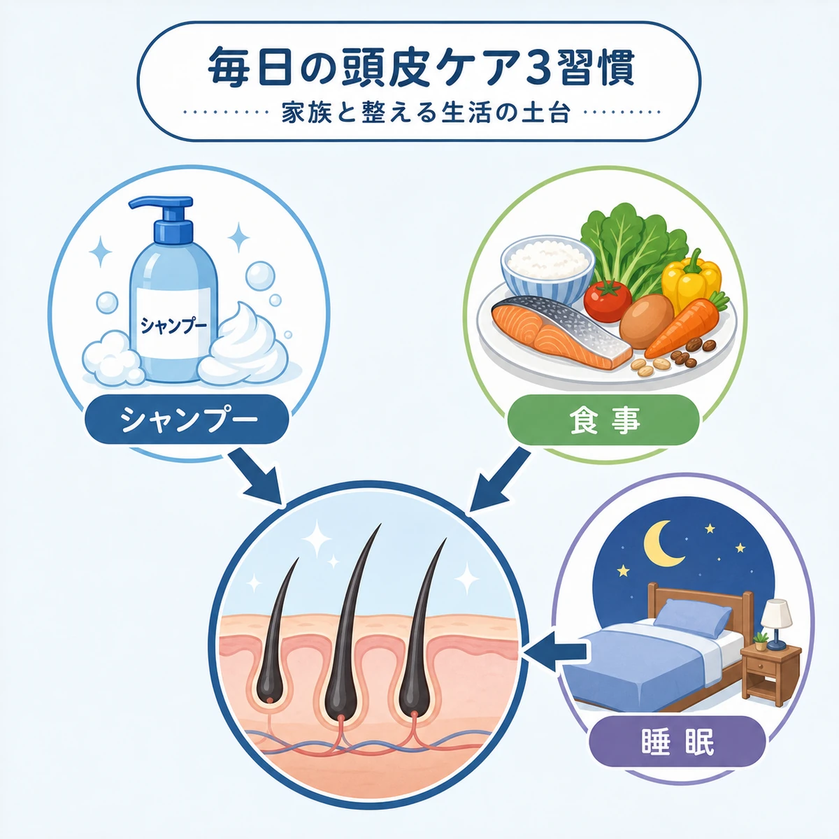 シャンプー・食事・睡眠の3つの習慣が頭皮環境を支える関係を示した医療イラスト