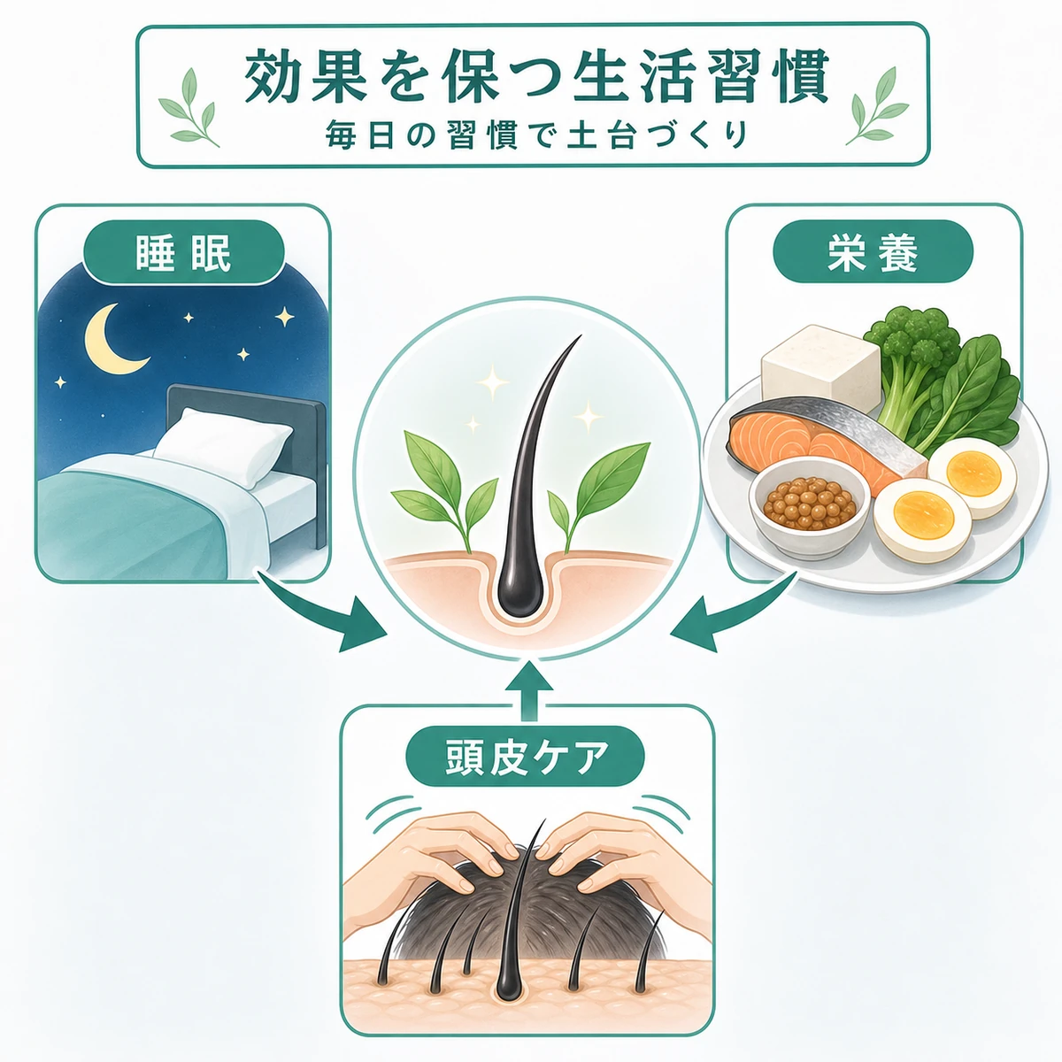睡眠と栄養と頭皮ケアがつむじ対策の効果を支える生活習慣を表した医療イラスト