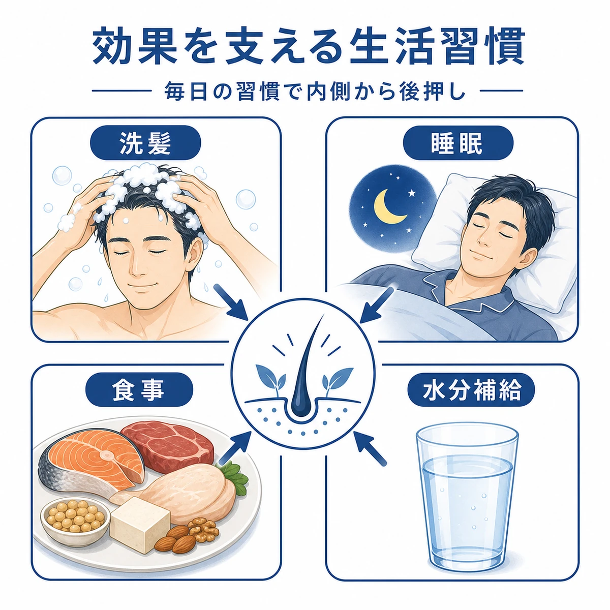 洗髪や睡眠や食事など発毛を支える生活習慣を四つに分けて表した医療イラスト