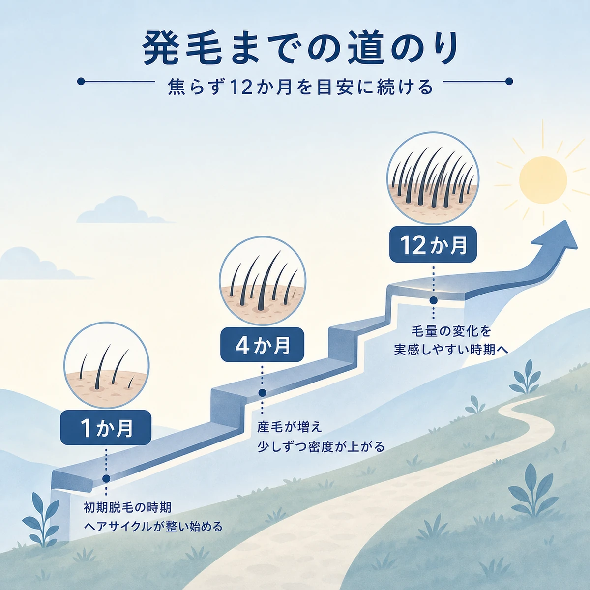治療開始から12か月までの発毛の経過を上り坂で表した医療イラスト