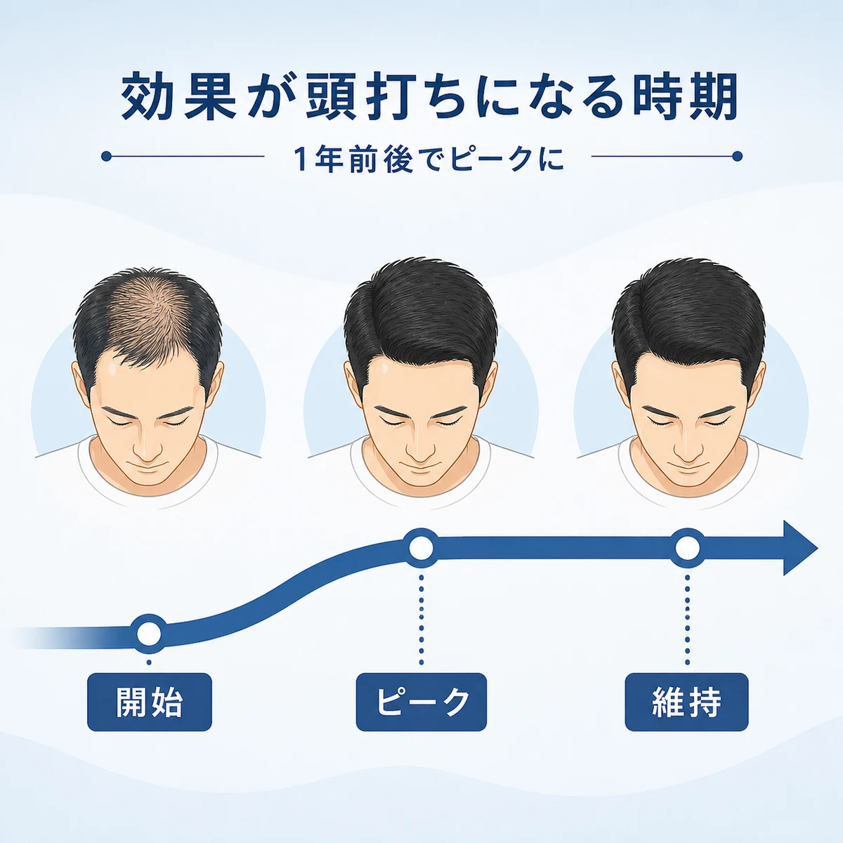 使用開始からピークを経て維持へと横ばいになる発毛の推移をタイムラインで表した医療イラスト