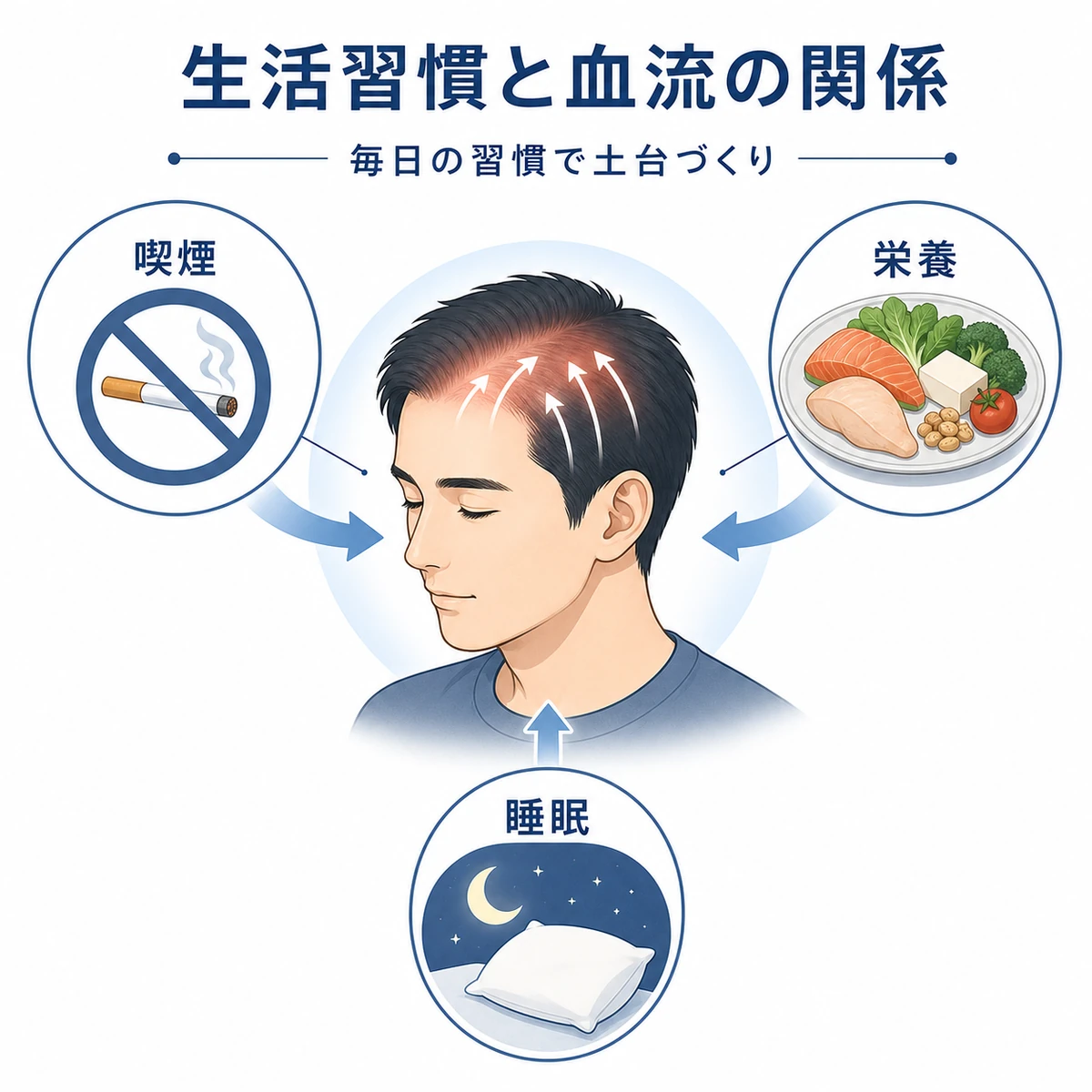 喫煙や栄養や睡眠が生え際の血流に与える影響を表した医療イラスト