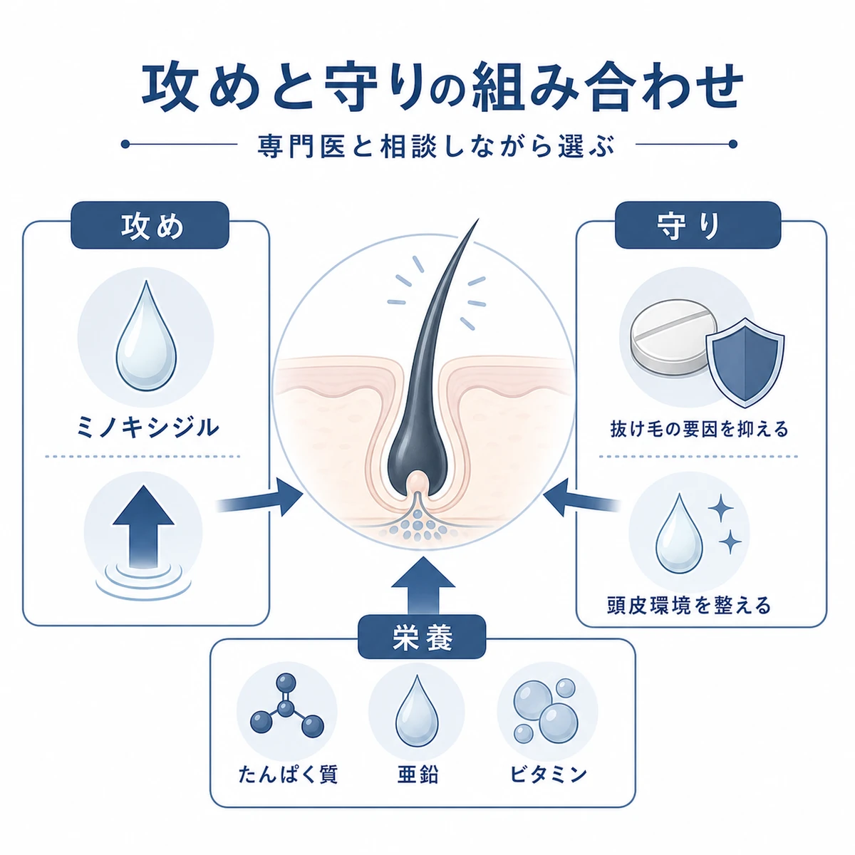 発毛を促す成分と抜け毛を防ぐ成分の組み合わせを表した医療イラスト