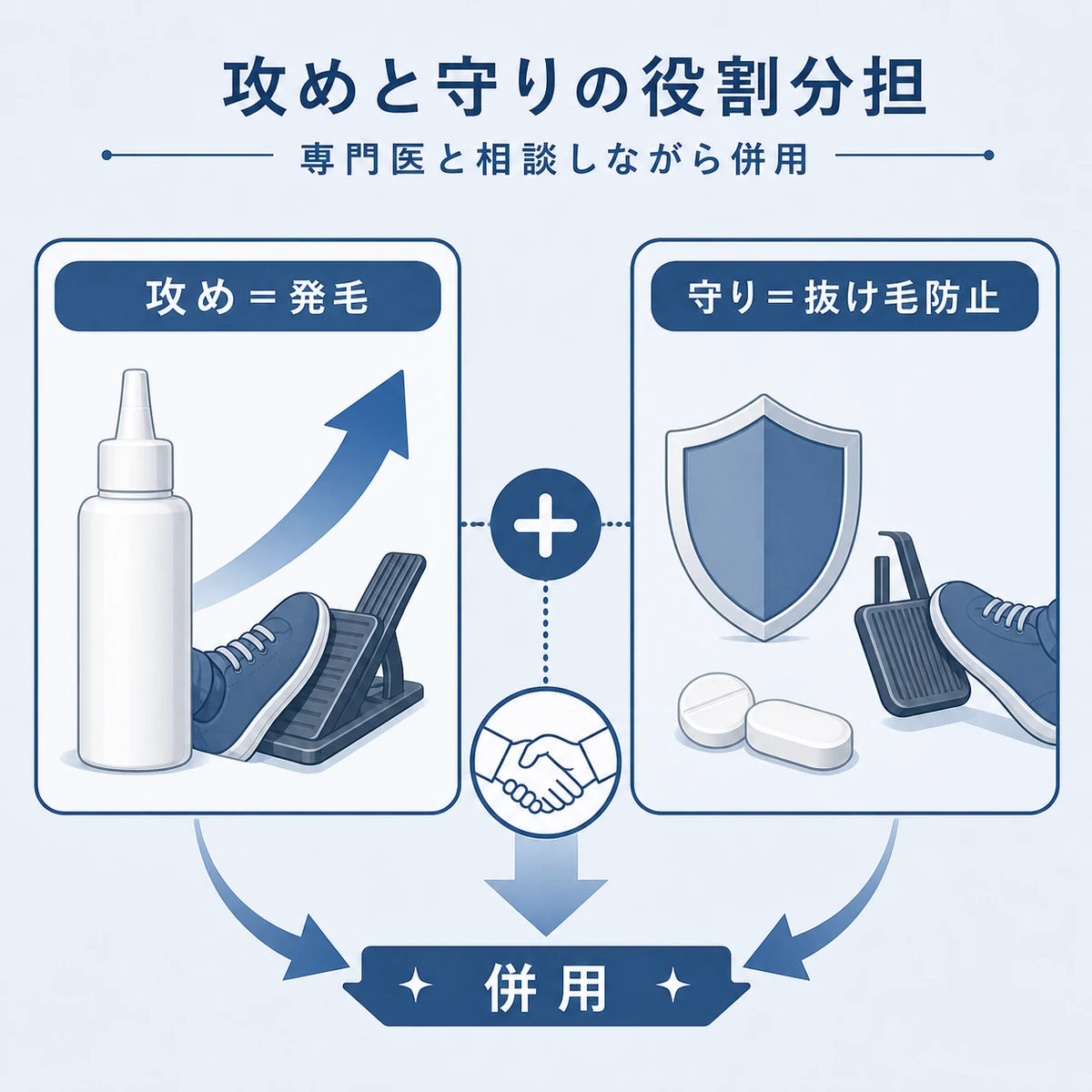 ミノキシジルの発毛促進とフィナステリドの抜け毛防止という役割分担と相乗効果を表した医療イラスト