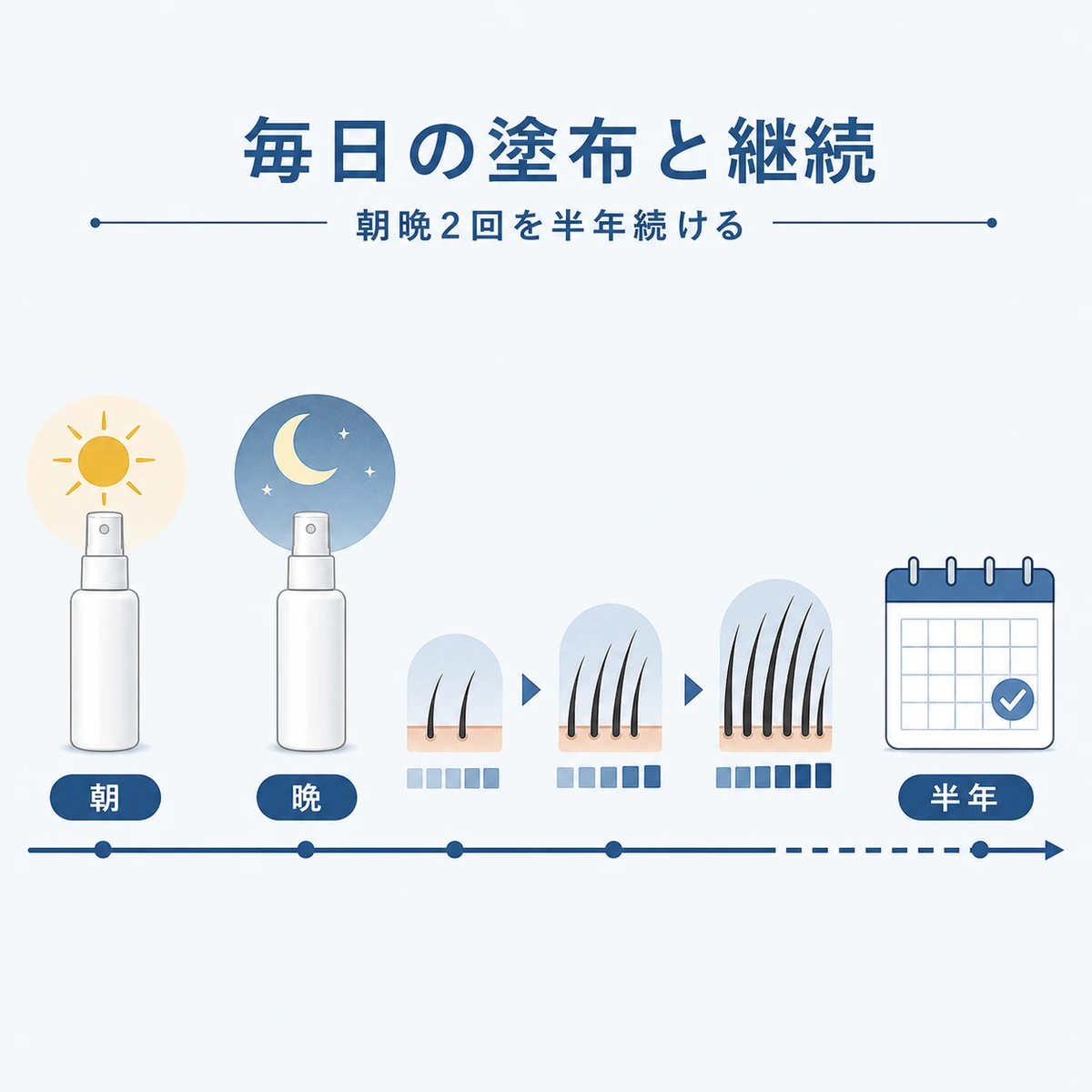 朝晩2回の塗布と半年間の継続が大切なことを表した医療イラスト
