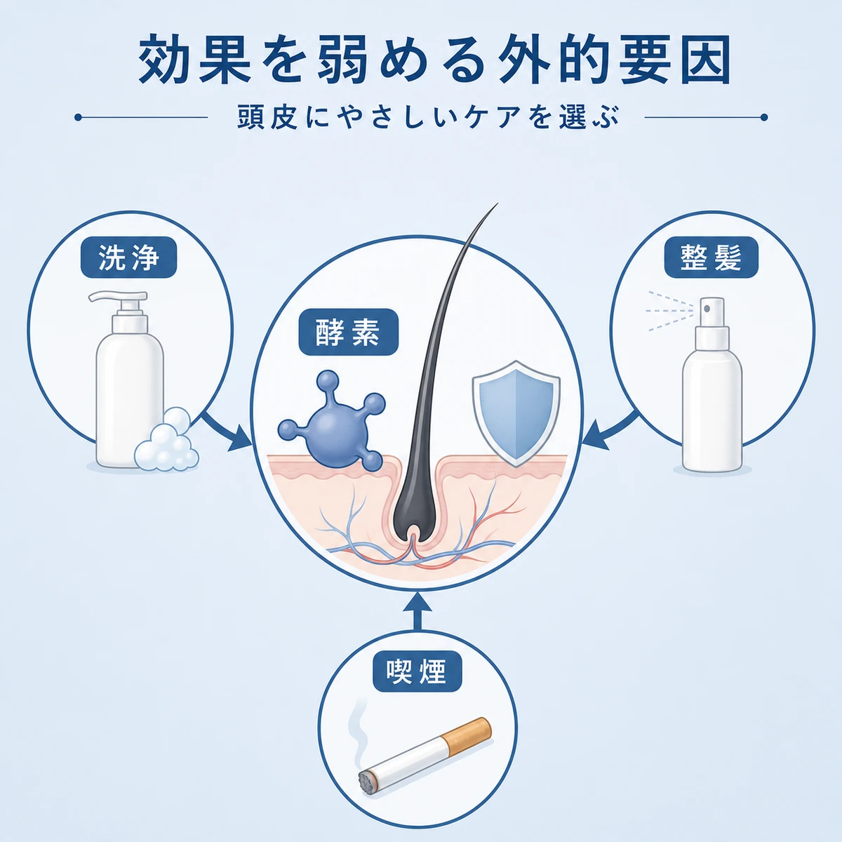 シャンプーや整髪料や喫煙が硫酸転移酵素の働きを妨げる関係を表した医療イラスト