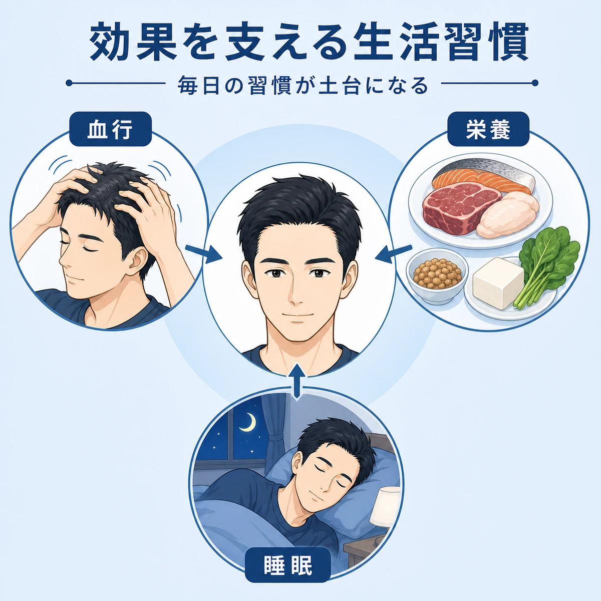 血行・栄養・睡眠が発毛環境を支える生活習慣の関係を表した医療イラスト