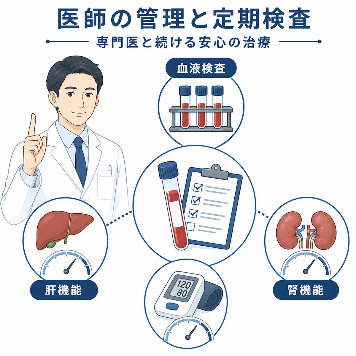 成人男性医師の管理のもと肝機能や腎機能を血液検査で確認する流れを表した医療イラスト