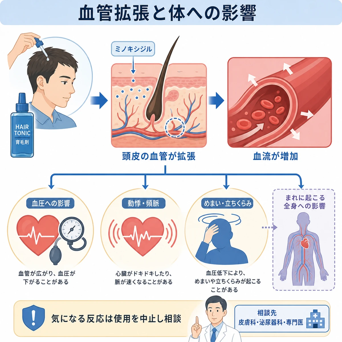 頭皮の血管が広がり血流が増える仕組みと循環器へのまれな反応を表した医療イラスト